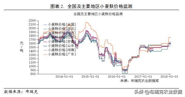 小麦最新行情解析