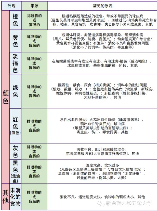 新澳门2024历史开奖记录查询表,权威说明解析_经典款21.240