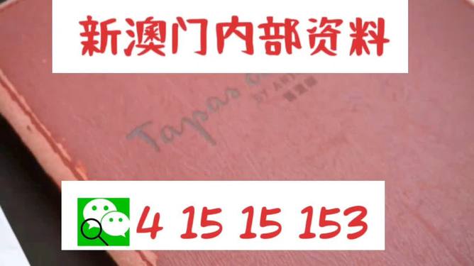 新澳门精准资料免费提供,效率资料解释落实_钱包版98.907