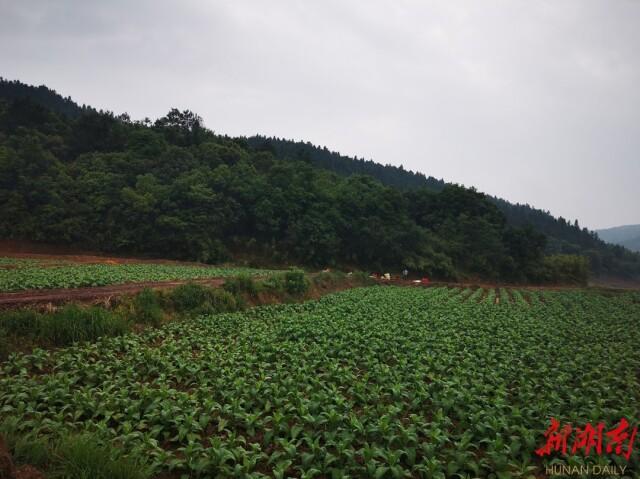 库区移民最新政策补贴全面解读