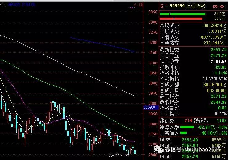 最新两融标的股票名单公布，市场影响深度解析