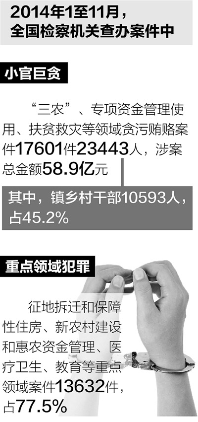 最新贪贿犯罪现象深度解析，成因探究与应对策略